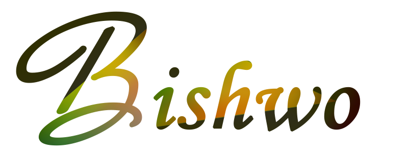 Bishwo Dahal Portfolio Logo